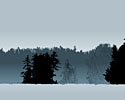 lake banners